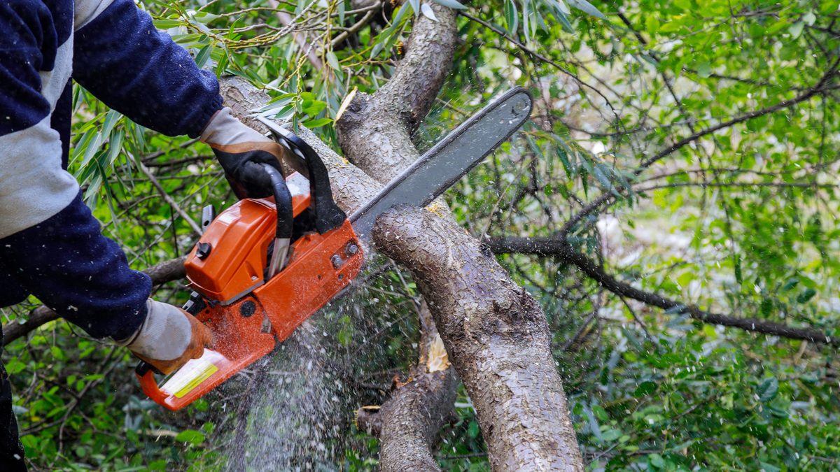 Crew member using a chainsaw to cut through fallen branches